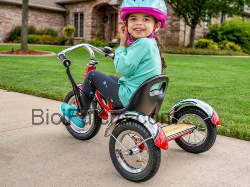 Schwinn Roadster Tricycle scheda tecnica e recensioni